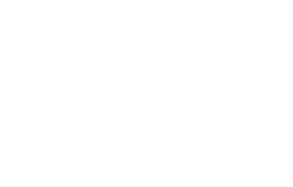Capitall logo