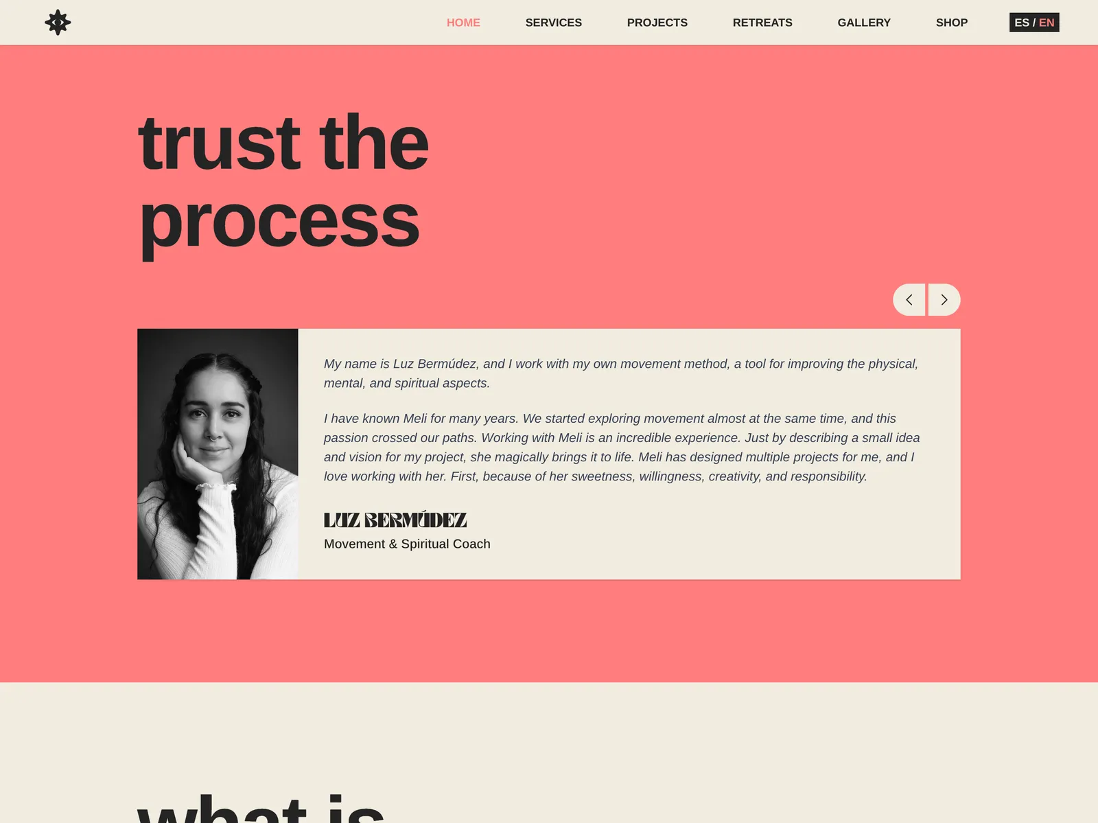 Client testimonial carousel