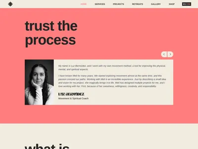 Client testimonial carousel